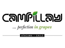 Agrícola Campillay Spa