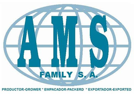 Ams Family S.A.
